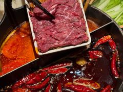 -大龙燚·旷野鲜火锅(广州首店)