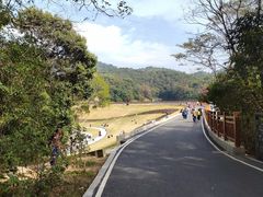 -广州市白云山风景名胜区