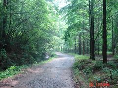 -小格里自然风景区