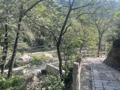 -大岭沟猕猴桃谷风景区
