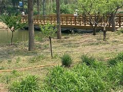 -东郊湿地公园
