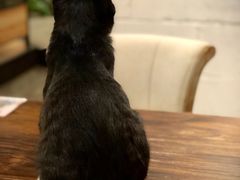 -么么咖啡(燕郊店)