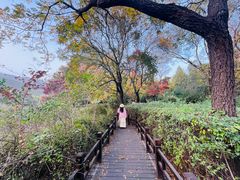 -国家植物园南园