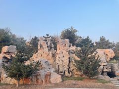 -西海子公园