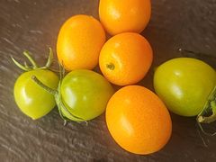 -吴越荣记·苏州菜·松鼠桂鱼(斜塘老街店)