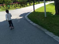 -晓港公园