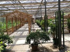 -万源龙顺度假庄园生态观光园