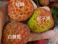 -陇南批发市场