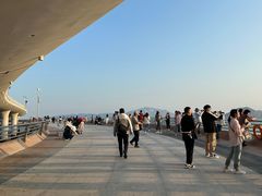 -演武大桥观景平台