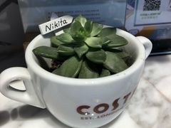 -COSTA COFFEE(静安嘉里中心店)