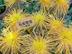-中国翰园碑林