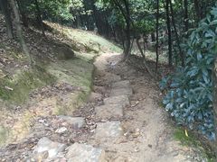 -南山植物园