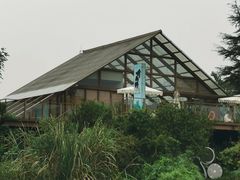 -桤木河湿地公园