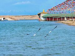 -青海湖国家重点风景名胜区