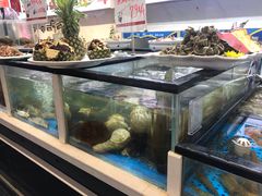 水产区-自助火锅筷乐食代自助餐厅(金辰店)