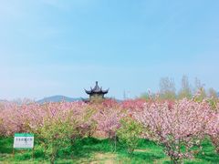 -云幽谷旅游区