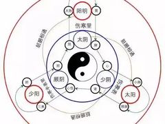 -裕和堂中医推拿艾灸(太古汇臻品店)