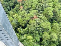 -白云山风景名胜区
