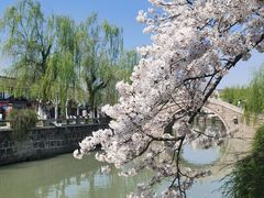 -常熟方塔园