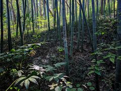 -南山风景名胜区