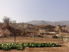 -天津盘山风景名胜区