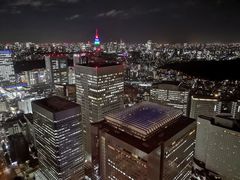 -东京都厅舍