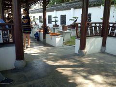 -泰州凤城河风景区-泰山公园