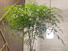 -王品牛排(合肥万象城店)