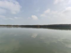 -上海海湾国家森林公园