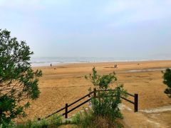 -普陀山风景名胜区-千步大沙