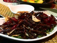 炸昆虫-紫滇源云南生态菜