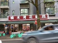 -铁山坪森林公园