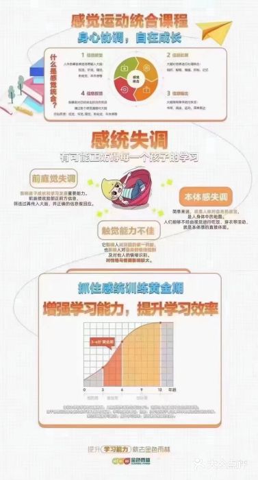 金色雨林学习力培优(专注力提升)图片