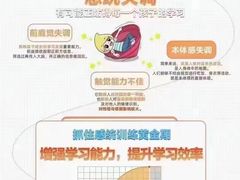 -金色雨林学习力培优(专注力提升)