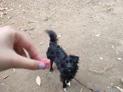 -杭州师范大学(下沙校区)