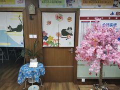 -猫音日语留学培训