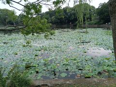-无锡蠡湖国家湿地公园-蠡园
