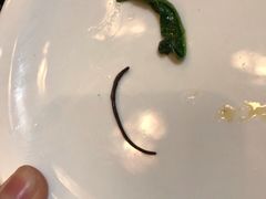 -HOHO餐厅(古子城店)