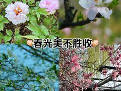 -洛阳市隋唐城遗址植物园