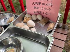 -欢乐松鼠谷