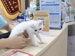 -宠颐生猫科·内科皮肤科(西平世纪城店)