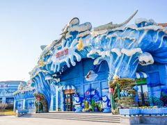 -石家庄极地海洋世界