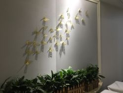 -美丽田园