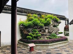 -檀园
