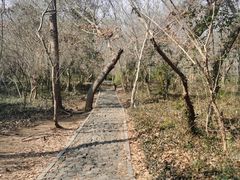 -大蜀山国家森林公园