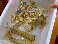 -来之顺海鲜菜馆·青岛菜·始于1993(栈桥店)