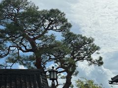 -富斯特索道