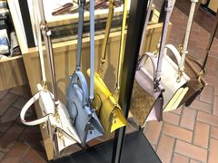 -COACH蔻驰(星光68广场店)