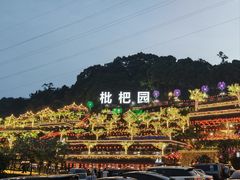 -枇杷园食为鲜火锅(南山店)