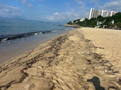 -玫瑰海岸文化旅游度假区
